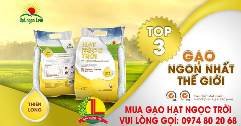 ĐẠI LÝ GẠO HẠT NGỌC TRỜI